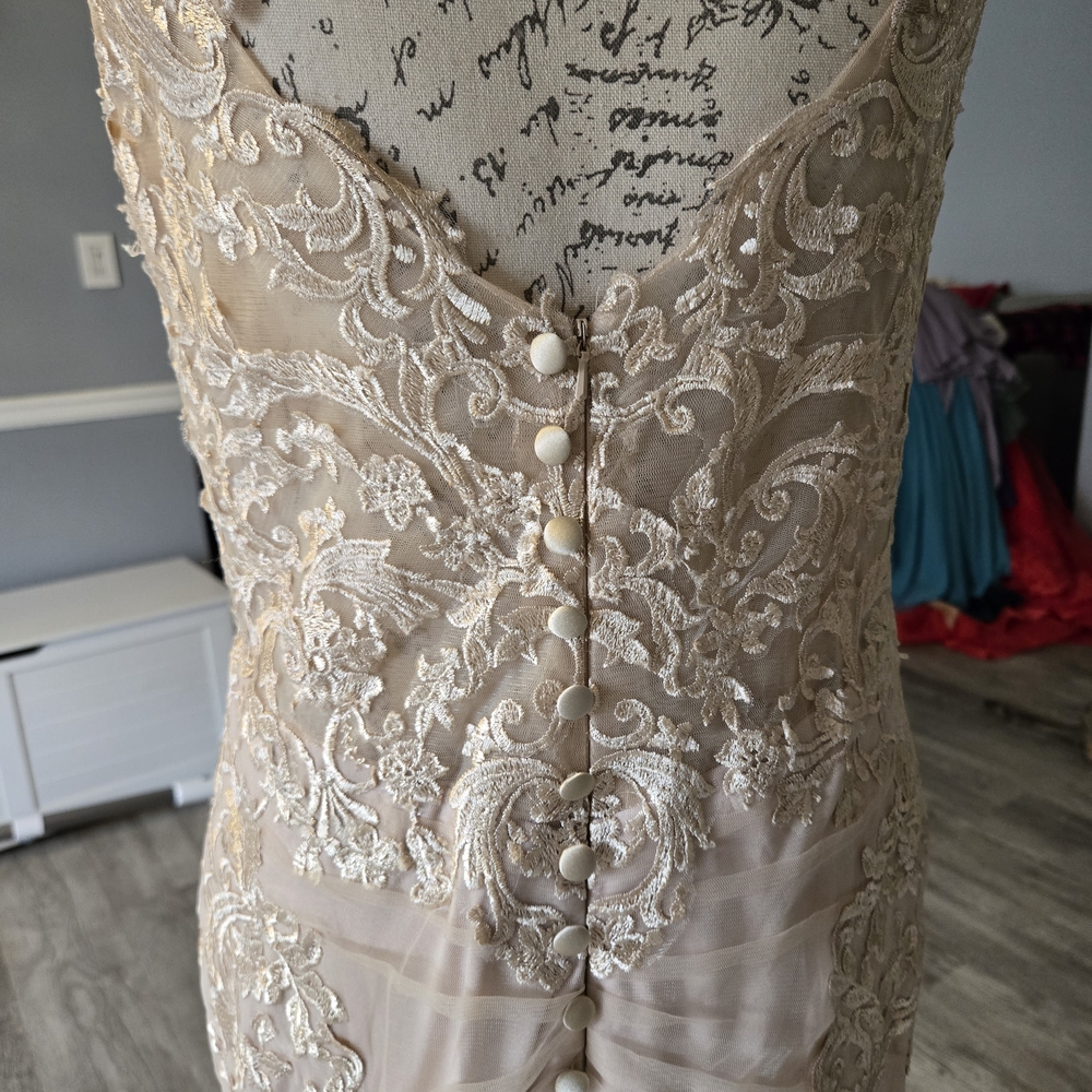 Elegant Lace Gown with Train - Picture 3 of 7